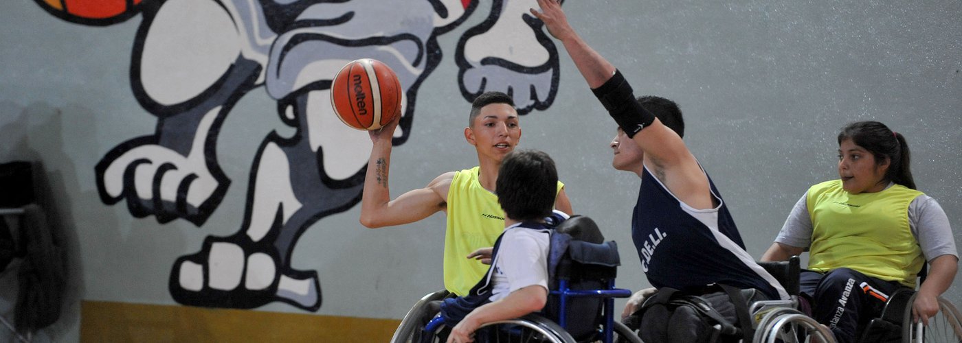 BasquetPCD8.jpg